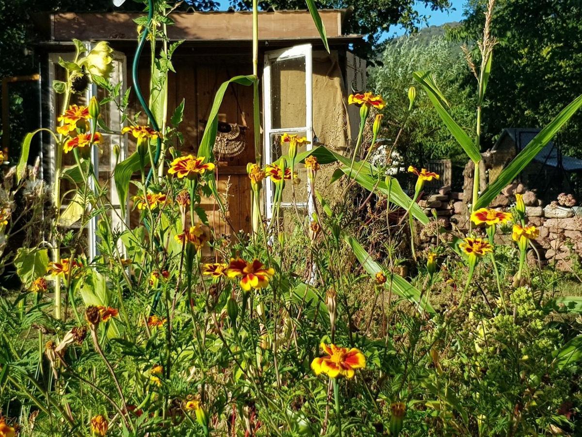 Le Jardin Des Gouttes Bed and Breakfast Rougegoutte Εξωτερικό φωτογραφία