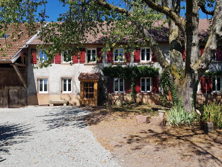 Le Jardin Des Gouttes Bed and Breakfast Rougegoutte Εξωτερικό φωτογραφία